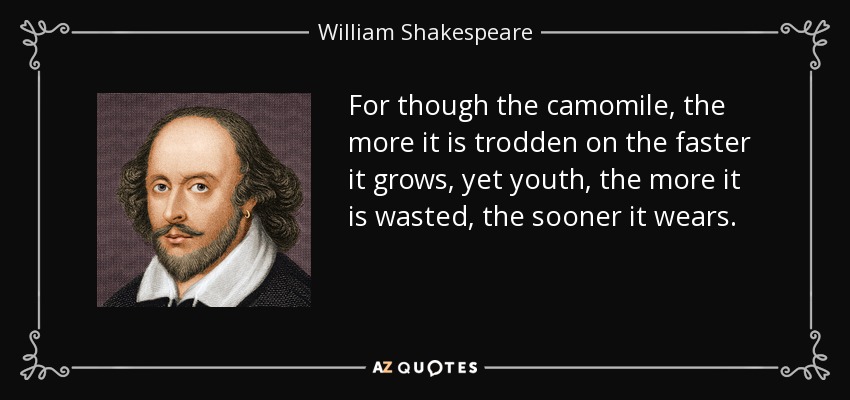 For though the camomile, the more it is trodden on the faster it grows, yet youth, the more it is wasted, the sooner it wears. - William Shakespeare
