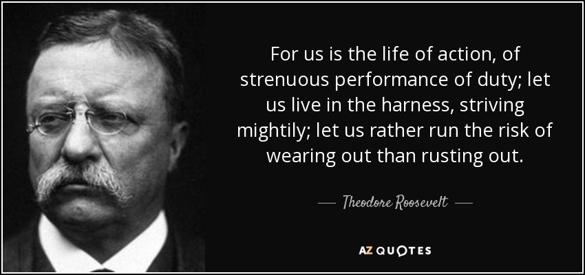 For us is the life of action, of strenuous performance of duty; let us live in the harness, striving mightily; let us rather run the risk of wearing out than rusting out. - Theodore Roosevelt