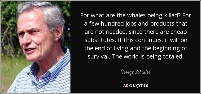 For what are the whales being killed? For a few hundred jobs and products that are not needed, since there are cheap substitutes. If this continues, it will be the end of living and the beginning of survival. The world is being totaled. - George Schaller