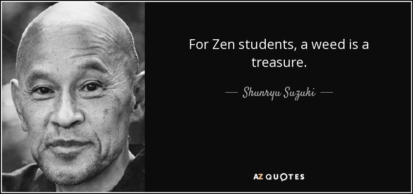 For Zen students, a weed is a treasure. - Shunryu Suzuki