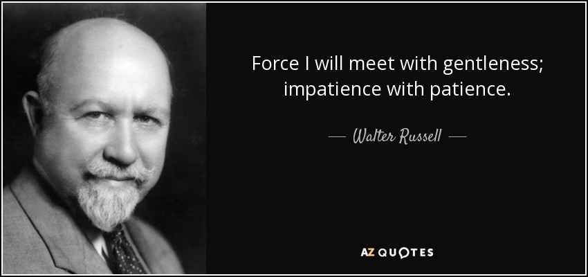 Force I will meet with gentleness; impatience with patience. - Walter Russell
