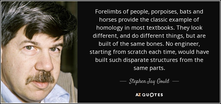 Forelimbs of people, porpoises, bats and horses provide the classic example of homology in most textbooks. They look different, and do different things, but are built of the same bones. No engineer, starting from scratch each time, would have built such disparate structures from the same parts. - Stephen Jay Gould