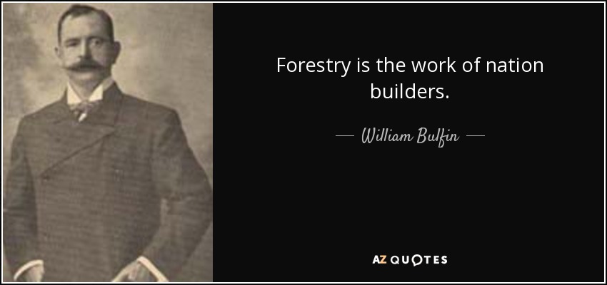 Forestry is the work of nation builders. - William Bulfin