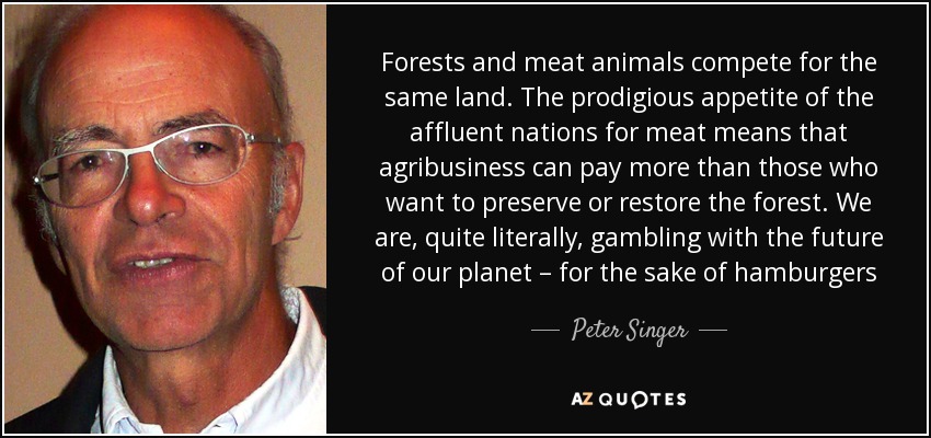 Forests and meat animals compete for the same land. The prodigious appetite of the affluent nations for meat means that agribusiness can pay more than those who want to preserve or restore the forest. We are, quite literally, gambling with the future of our planet – for the sake of hamburgers - Peter Singer