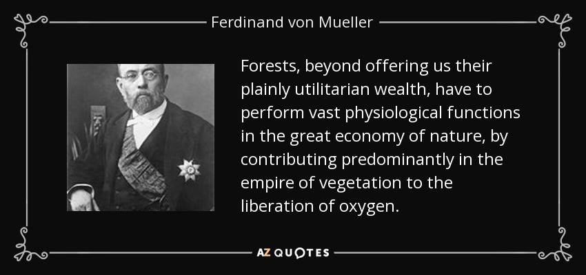 Forests, beyond offering us their plainly utilitarian wealth, have to perform vast physiological functions in the great economy of nature, by contributing predominantly in the empire of vegetation to the liberation of oxygen. - Ferdinand von Mueller
