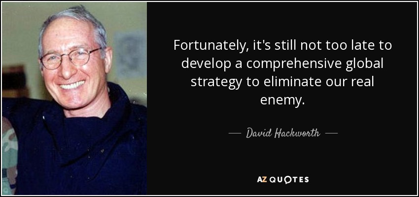 Fortunately, it's still not too late to develop a comprehensive global strategy to eliminate our real enemy. - David Hackworth