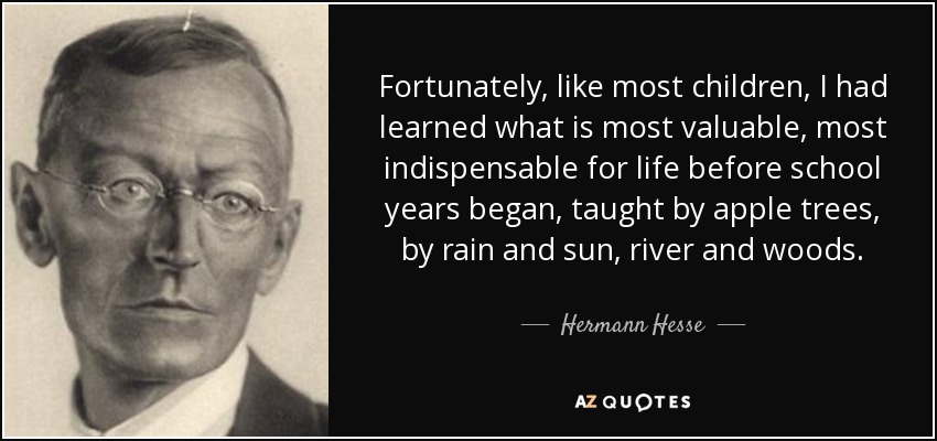 Fortunately, like most children, I had learned what is most valuable, most indispensable for life before school years began, taught by apple trees, by rain and sun, river and woods. - Hermann Hesse