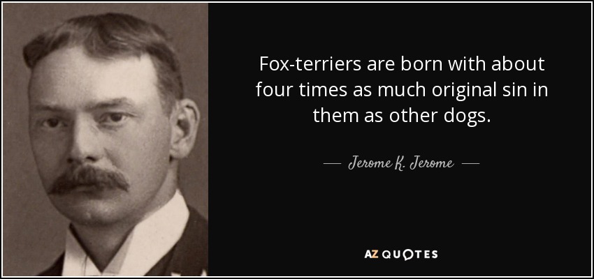 Fox-terriers are born with about four times as much original sin in them as other dogs. - Jerome K. Jerome