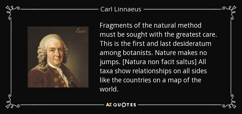 Fragments of the natural method must be sought with the greatest care. This is the first and last desideratum among botanists. Nature makes no jumps. [Natura non facit saltus] All taxa show relationships on all sides like the countries on a map of the world. - Carl Linnaeus