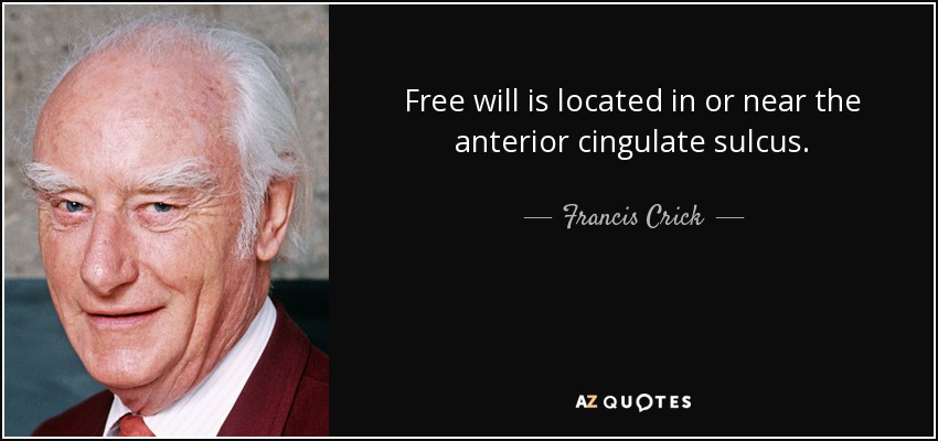 Free will is located in or near the anterior cingulate sulcus. - Francis Crick