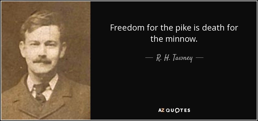 Freedom for the pike is death for the minnow. - R. H. Tawney