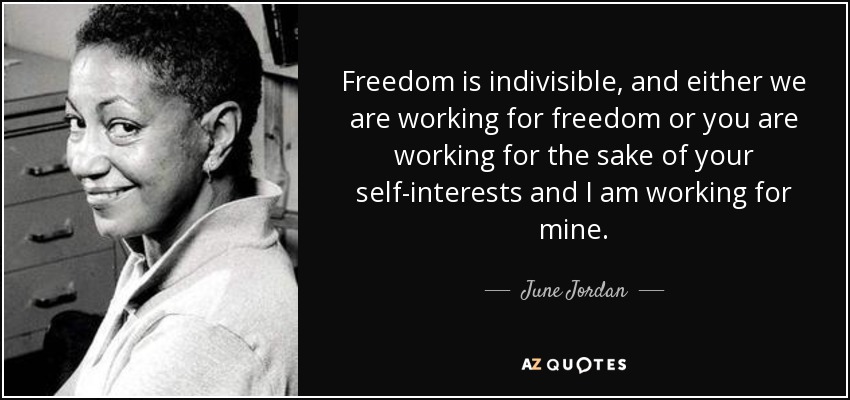 Freedom is indivisible, and either we are working for freedom or you are working for the sake of your self-interests and I am working for mine. - June Jordan