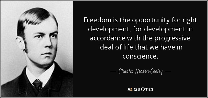 Freedom is the opportunity for right development, for development in accordance with the progressive ideal of life that we have in conscience. - Charles Horton Cooley