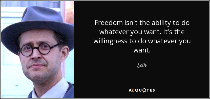 Freedom isn't the ability to do whatever you want. It's the willingness to do whatever you want. - Seth