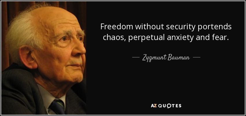 Freedom without security portends chaos, perpetual anxiety and fear. - Zygmunt Bauman
