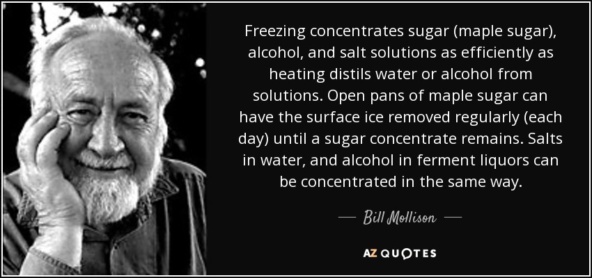 Freezing concentrates sugar (maple sugar), alcohol, and salt solutions as efficiently as heating distils water or alcohol from solutions. Open pans of maple sugar can have the surface ice removed regularly (each day) until a sugar concentrate remains. Salts in water, and alcohol in ferment liquors can be concentrated in the same way. - Bill Mollison