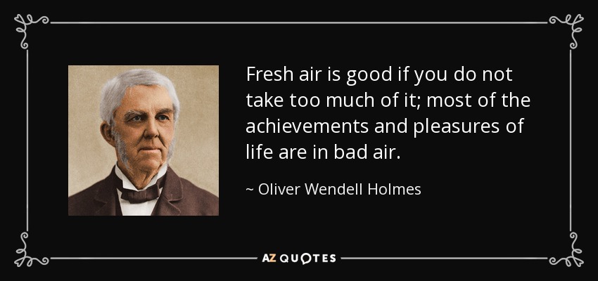 Fresh air is good if you do not take too much of it; most of the achievements and pleasures of life are in bad air. - Oliver Wendell Holmes Sr. 