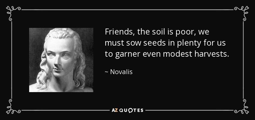 Friends, the soil is poor, we must sow seeds in plenty for us to garner even modest harvests. - Novalis