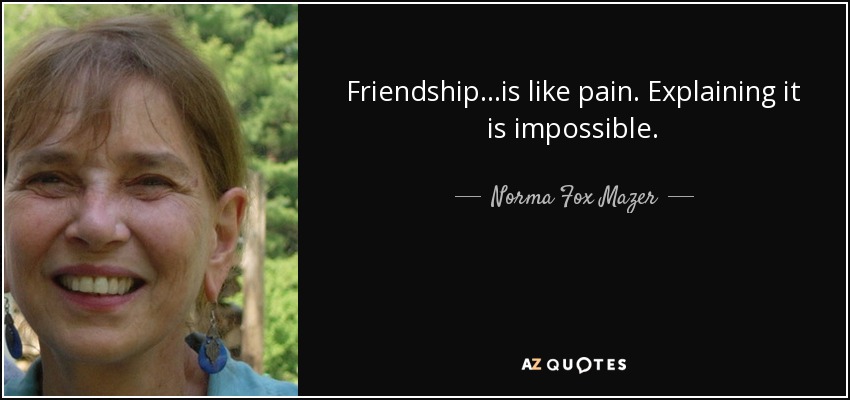 Friendship...is like pain. Explaining it is impossible. - Norma Fox Mazer