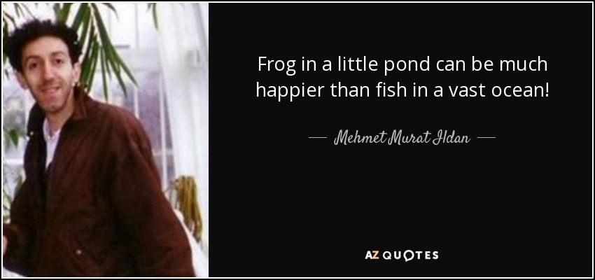 Frog in a little pond can be much happier than fish in a vast ocean! - Mehmet Murat Ildan