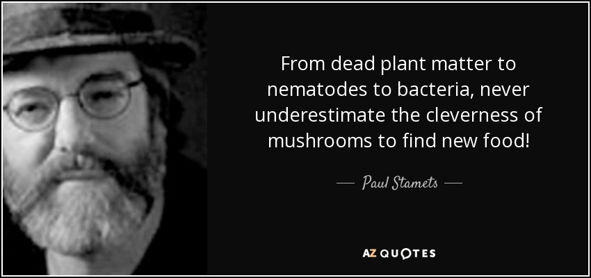 From dead plant matter to nematodes to bacteria, never underestimate the cleverness of mushrooms to find new food! - Paul Stamets