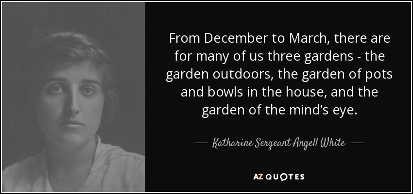 From December to March, there are for many of us three gardens - the garden outdoors, the garden of pots and bowls in the house, and the garden of the mind's eye. - Katharine Sergeant Angell White