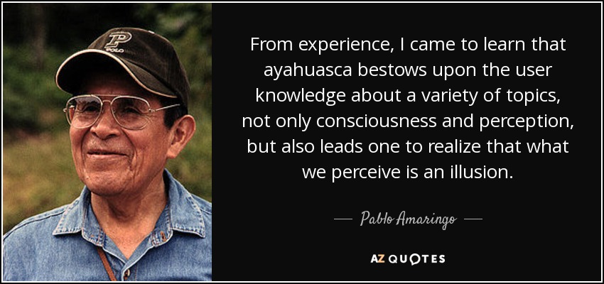 From experience, I came to learn that ayahuasca bestows upon the user knowledge about a variety of topics, not only consciousness and perception, but also leads one to realize that what we perceive is an illusion. - Pablo Amaringo