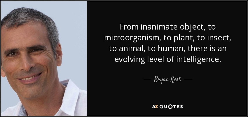 From inanimate object, to microorganism, to plant, to insect, to animal, to human, there is an evolving level of intelligence. - Bryan Kest