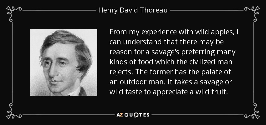 From my experience with wild apples, I can understand that there may be reason for a savage's preferring many kinds of food which the civilized man rejects. The former has the palate of an outdoor man. It takes a savage or wild taste to appreciate a wild fruit. - Henry David Thoreau