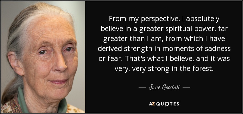 From my perspective, I absolutely believe in a greater spiritual power, far greater than I am, from which I have derived strength in moments of sadness or fear. That's what I believe, and it was very, very strong in the forest. - Jane Goodall