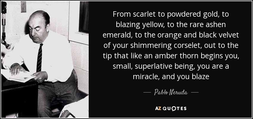 From scarlet to powdered gold, to blazing yellow, to the rare ashen emerald, to the orange and black velvet of your shimmering corselet, out to the tip that like an amber thorn begins you, small, superlative being, you are a miracle, and you blaze - Pablo Neruda