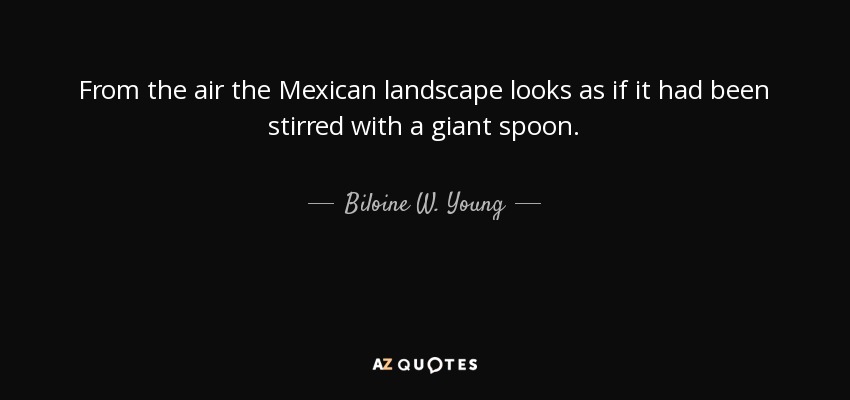 From the air the Mexican landscape looks as if it had been stirred with a giant spoon. - Biloine W. Young