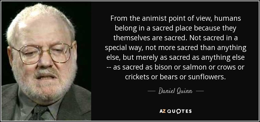 From the animist point of view, humans belong in a sacred place because they themselves are sacred. Not sacred in a special way, not more sacred than anything else, but merely as sacred as anything else -- as sacred as bison or salmon or crows or crickets or bears or sunflowers. - Daniel Quinn