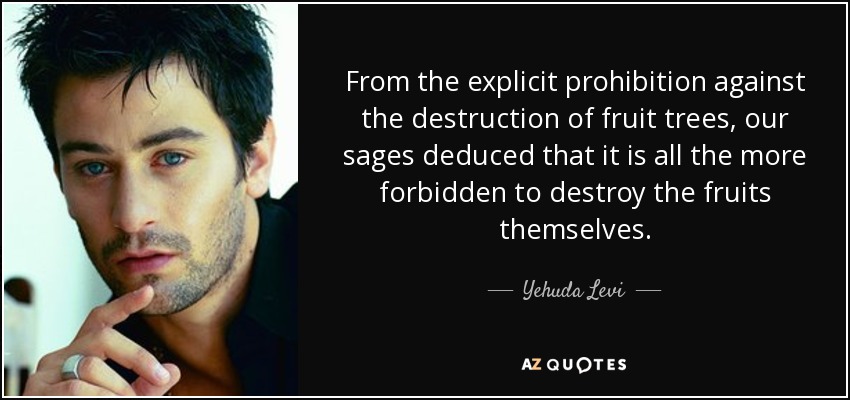 From the explicit prohibition against the destruction of fruit trees, our sages deduced that it is all the more forbidden to destroy the fruits themselves. - Yehuda Levi