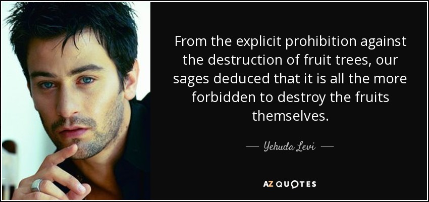 From the explicit prohibition against the destruction of fruit trees, our sages deduced that it is all the more forbidden to destroy the fruits themselves. - Yehuda Levi