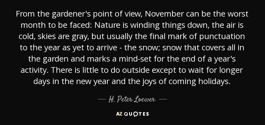 From the gardener's point of view, November can be the worst month to be faced: Nature is winding things down, the air is cold, skies are gray, but usually the final mark of punctuation to the year as yet to arrive - the snow; snow that covers all in the garden and marks a mind-set for the end of a year's activity. There is little to do outside except to wait for longer days in the new year and the joys of coming holidays. - H. Peter Loewer