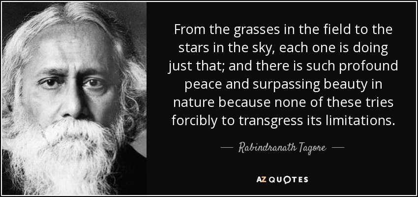 From the grasses in the field to the stars in the sky, each one is doing just that; and there is such profound peace and surpassing beauty in nature because none of these tries forcibly to transgress its limitations. - Rabindranath Tagore