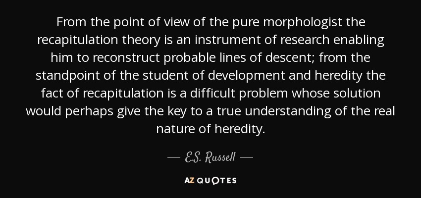 From the point of view of the pure morphologist the recapitulation theory is an instrument of research enabling him to reconstruct probable lines of descent; from the standpoint of the student of development and heredity the fact of recapitulation is a difficult problem whose solution would perhaps give the key to a true understanding of the real nature of heredity. - E.S. Russell