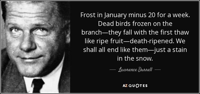 Frost in January minus 20 for a week. Dead birds frozen on the branch—they fall with the first thaw like ripe fruit—death-ripened. We shall all end like them—just a stain in the snow. - Lawrence Durrell