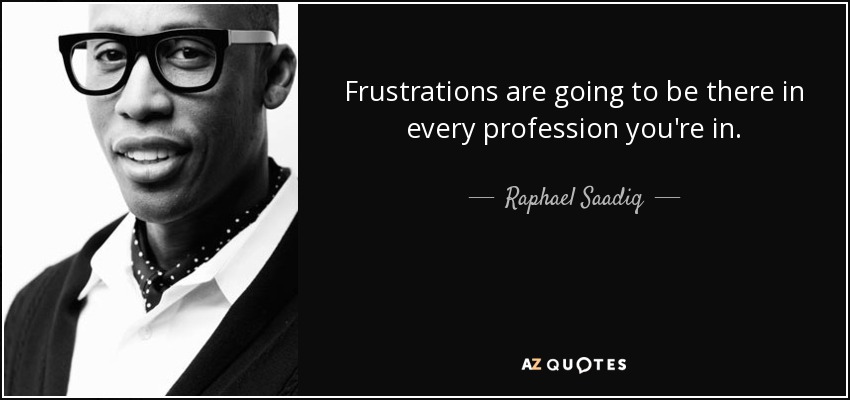 Frustrations are going to be there in every profession you're in. - Raphael Saadiq