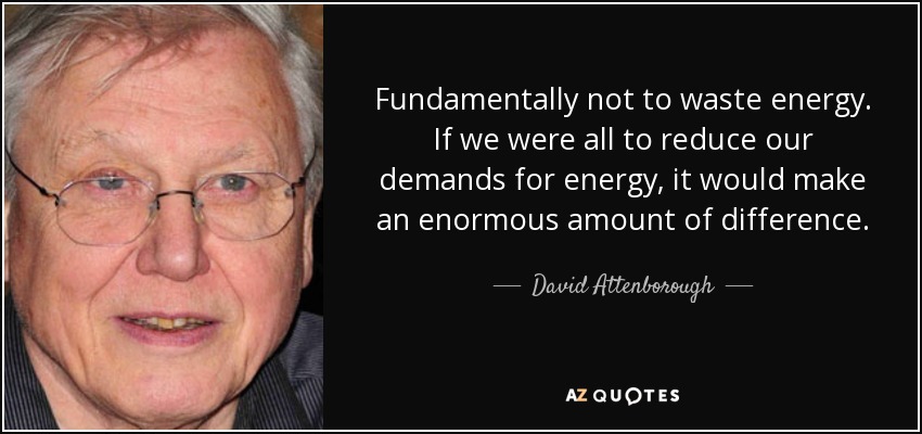 Fundamentally not to waste energy. If we were all to reduce our demands for energy, it would make an enormous amount of difference. - David Attenborough