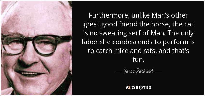 Furthermore, unlike Man's other great good friend the horse, the cat is no sweating serf of Man. The only labor she condescends to perform is to catch mice and rats, and that's fun. - Vance Packard