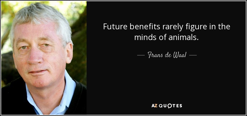 Future benefits rarely figure in the minds of animals. - Frans de Waal