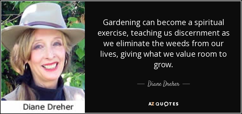 Gardening can become a spiritual exercise, teaching us discernment as we eliminate the weeds from our lives, giving what we value room to grow. - Diane Dreher