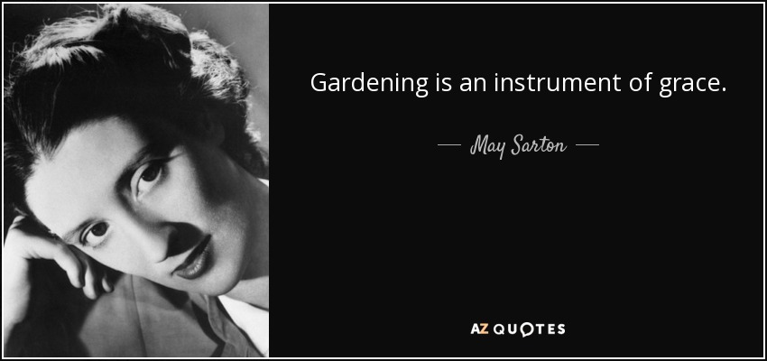 Gardening is an instrument of grace. - May Sarton
