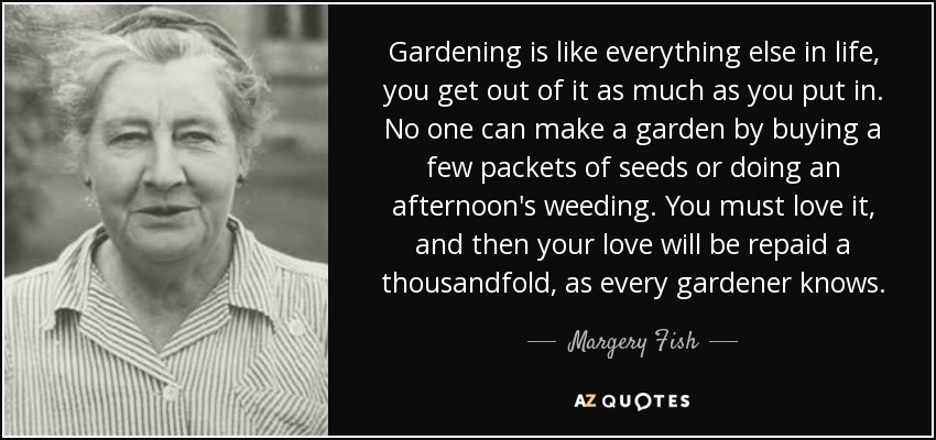 Gardening is like everything else in life, you get out of it as much as you put in. No one can make a garden by buying a few packets of seeds or doing an afternoon's weeding. You must love it, and then your love will be repaid a thousandfold, as every gardener knows. - Margery Fish