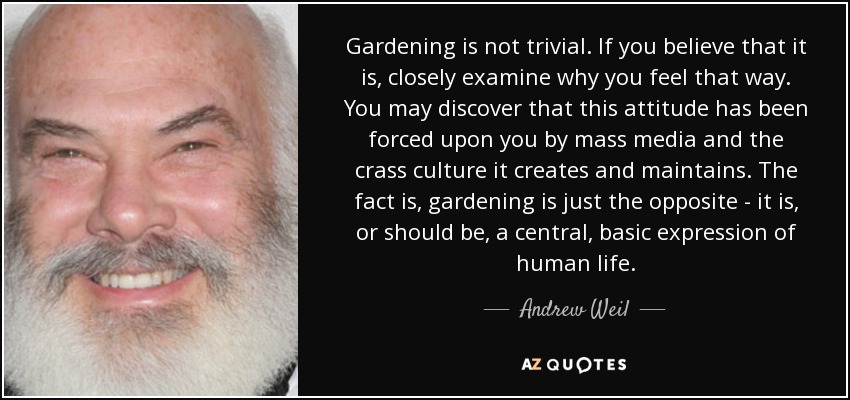 Gardening is not trivial. If you believe that it is, closely examine why you feel that way. You may discover that this attitude has been forced upon you by mass media and the crass culture it creates and maintains. The fact is, gardening is just the opposite - it is, or should be, a central, basic expression of human life. - Andrew Weil