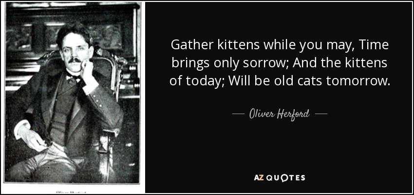 Gather kittens while you may, Time brings only sorrow; And the kittens of today; Will be old cats tomorrow. - Oliver Herford