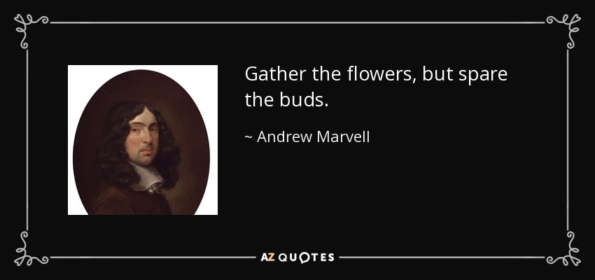 Gather the flowers, but spare the buds. - Andrew Marvell