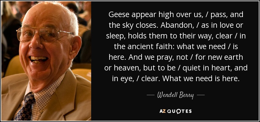 Geese appear high over us, / pass, and the sky closes. Abandon, / as in love or sleep, holds them to their way, clear / in the ancient faith: what we need / is here. And we pray, not / for new earth or heaven, but to be / quiet in heart, and in eye, / clear. What we need is here. - Wendell Berry